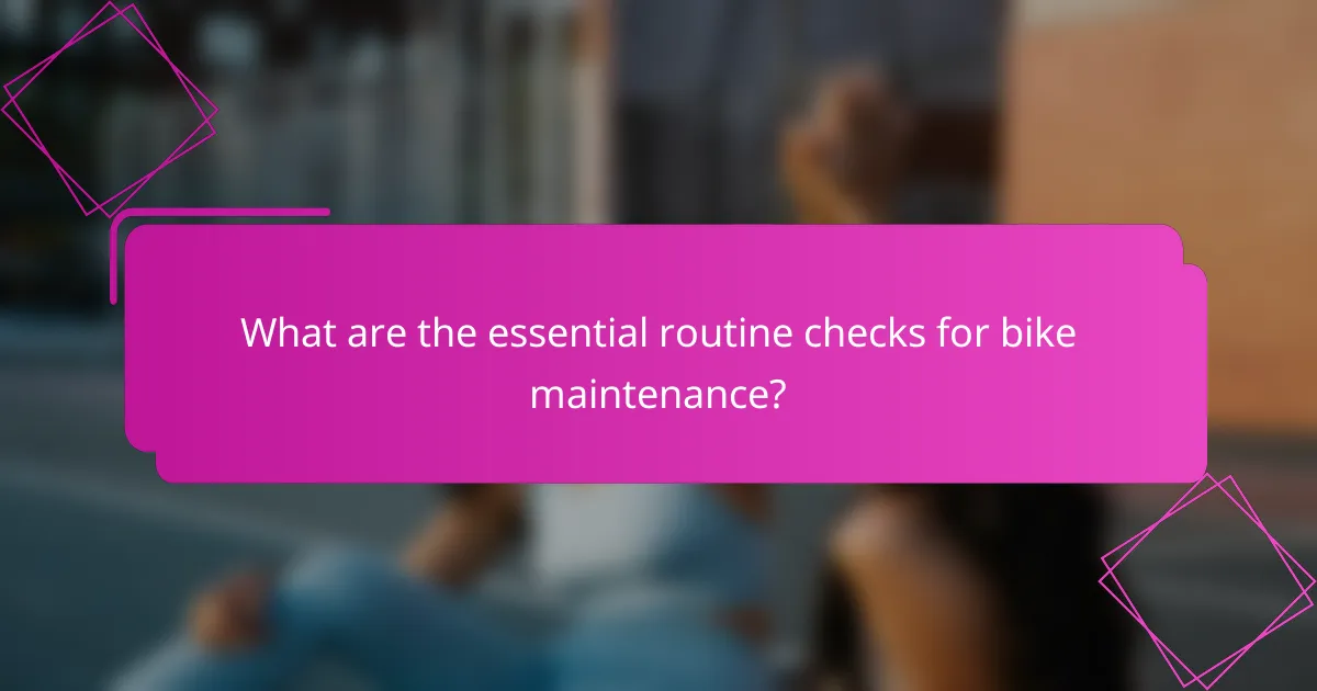 What are the essential routine checks for bike maintenance?