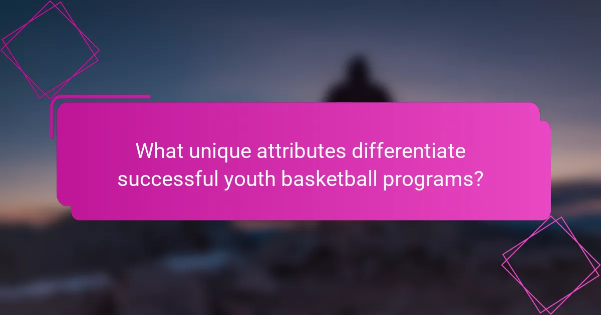 What unique attributes differentiate successful youth basketball programs?