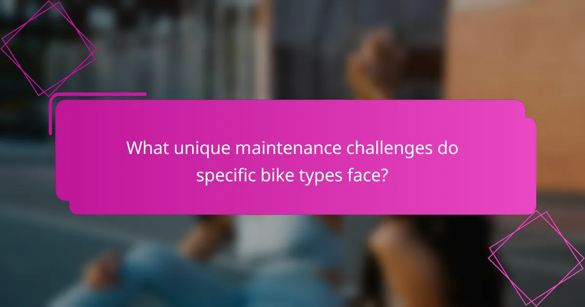 What unique maintenance challenges do specific bike types face?